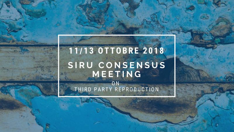 Visualizza SIRU CONSENSUS MEETING ON THIRD PARTY REPRODUCTION - LAMPEDUSA 11-13 OTTOBRE 2018